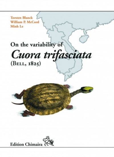 On the variability of Cuora trifasciata (Bell, 1825)