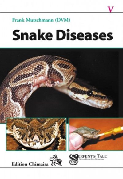 Snake Diseases – Preventing and Recognizing Illness