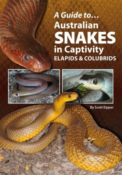 A Guide To Australian Snakes In Captivity—Elapids & Colubrids