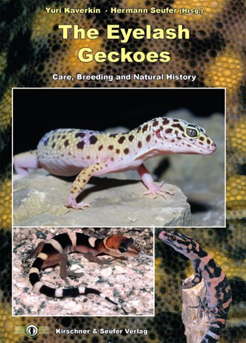 The Eyelash Geckos - Care, Breeding and Natural History