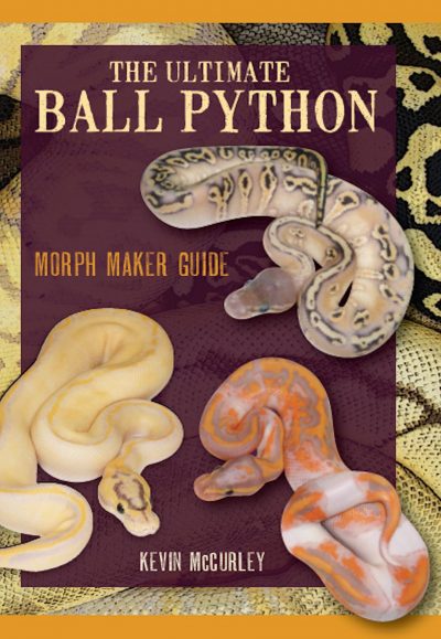 The Ultimate Ball Python