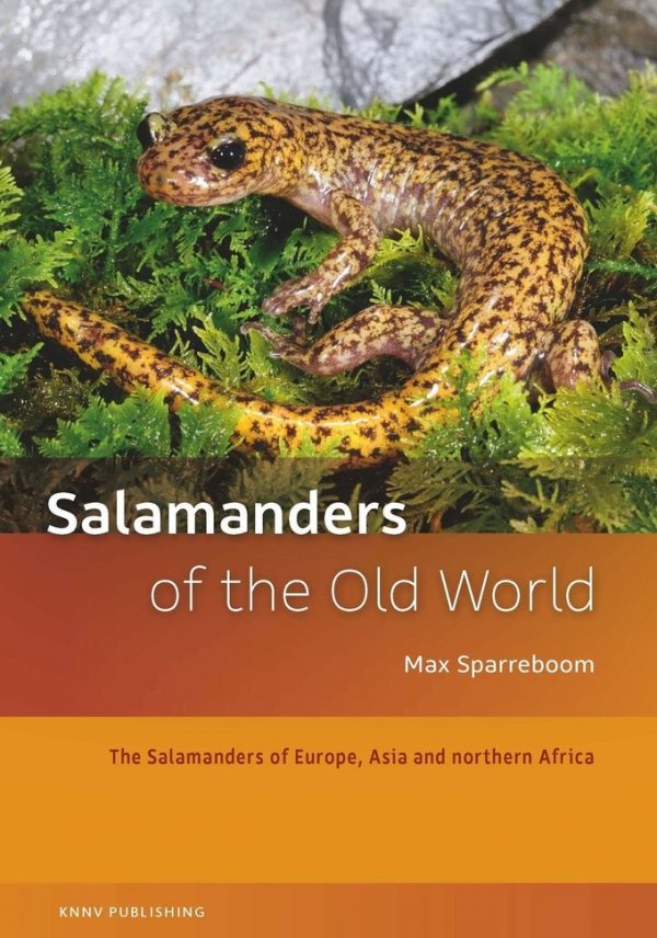 Salamanders of the old world