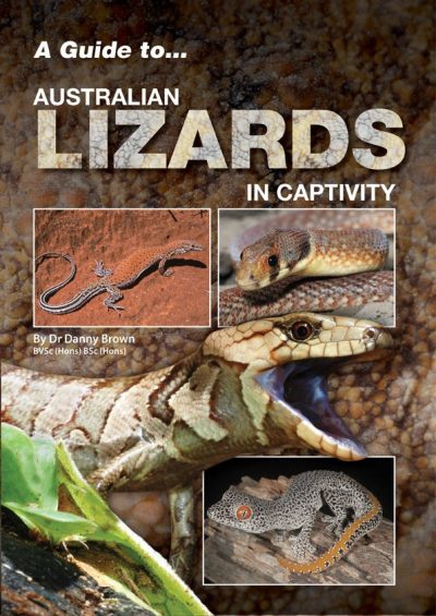 A Guide to Australian lizards in captivity