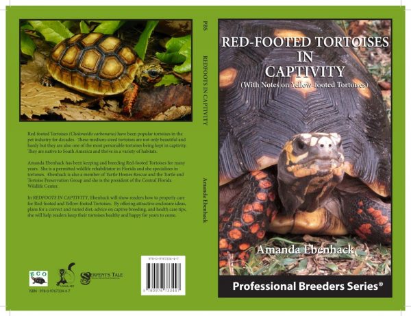 Red footed Tortoises in Captivity