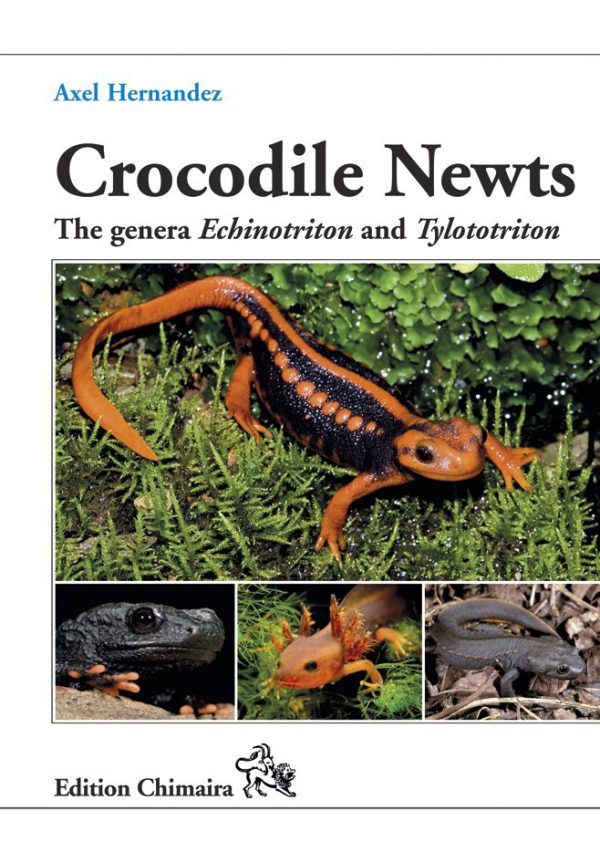 Crocodile Newts - The Primitive Salamandridae of Asia (Genera Echinotriton and Tylototriton)