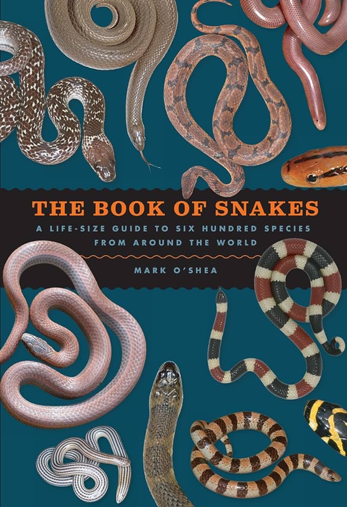 The book of snakes