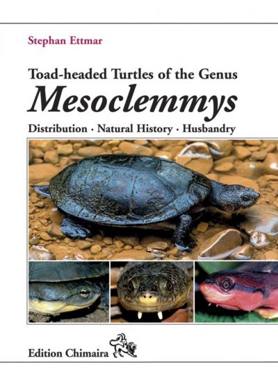 Toad-Headed Turtles of the Genus Mesoclemmys