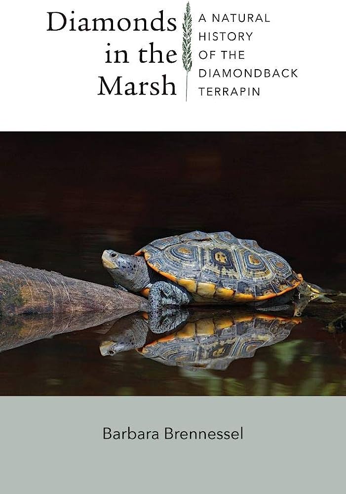 Diamonds in the Marsh. A natural History of the Diamondback Terrapin