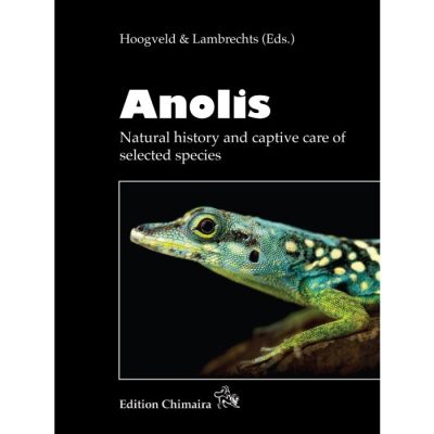 Anolis Natural History and Captive Care of Selected Species