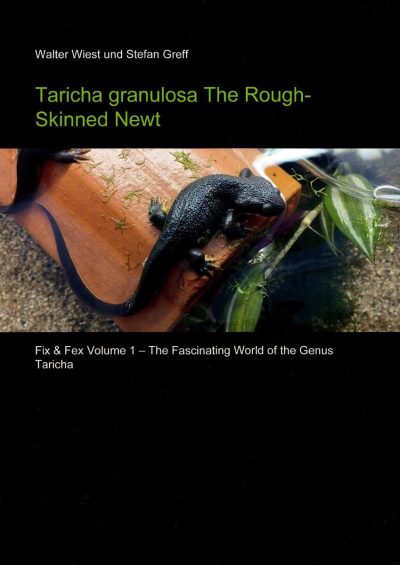 Taricha granulosa – The rough‑skinned newt